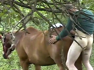 Dirty man fucking a big horse outside