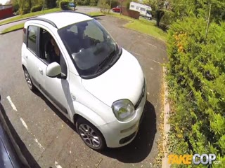 Fake Cop