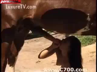 Orgy Swallow Dog