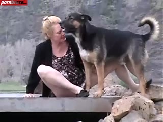 public animal