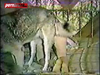 Dog Sex girl