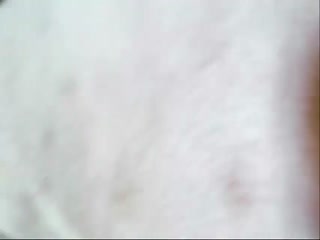 bestiality 2017