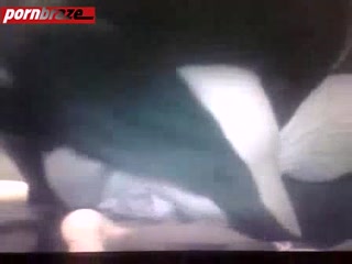 cam fuck dog