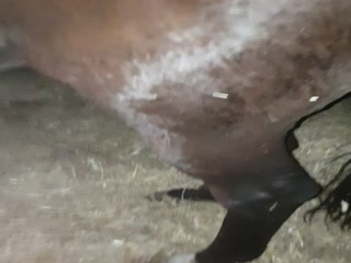 A Guy finger Fucking Female in Ass  porn 2018