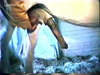 dog sex tube