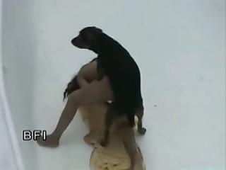 Doggy is getting an amazing pleasure