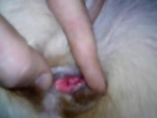 Dude fingering a dogs tight asshole