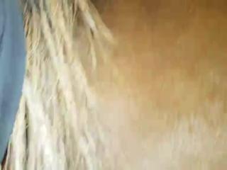 Deep fucking horse fucking film Top zoo porn xxx the biggest website for animal sex in the world