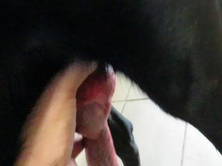 Only on our website can you view free animal sex videos, including Cane Corso Abwichsen 2.