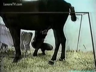 Stu-horse fucked by a white housewife on a vintage hobby horse - Zoo porn, equine erotica, zoophilia
