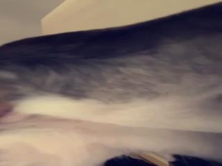 Slapped together quickly - Novice, Zoo Porn Dog Sex, Zoophilia
