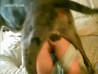 the dog's manners with her - Zoo Porn, Zoophilia, Dog Sex