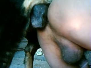 Man squats dog-style for a cockful as he approaches middle age Sex with a hung zoo animal K9 - Dog Sex in the Zoo, Zoophilia