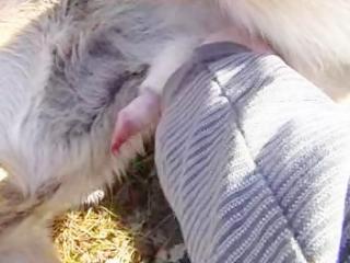 hit on my dog top zoo porn xxx The most popular animal sex website in the world.