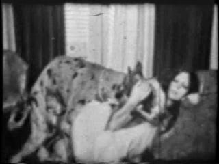 Zoo Porn Dog Sex, Zoophilia, is a brand-new, never-before-seen zoophilia film in which a brunette MILF smacks a dog.