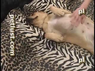 Watch free porn movie of lover having sex with dog, and more free animal sex scenes, exclusively on our site.