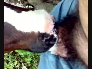 Extremely appealing and engaging animal sex genres, like "young cow 2" from "Zoo Porn Men, Zoophilia top videos free sex watch"