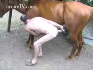 Watch and download this movie for free zoo sex with a beastiality stud who wants a sodomy.
