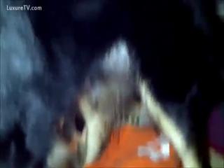 Masturbating on the dog - Zoo Porn Dog Sex, Zoophilia