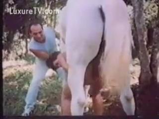 Zoophilia out in the woods - Zoophilia top movies free sex watch incredibly beautiful and interesting animal sex genres