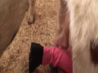 Sink Into Pink, Part 2: Zoophilia: Free zoo sex video movies of girls and boys being made love to by animals