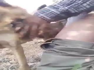Fucking my dog in the forest - Zoo Porn Dog Sex, Zoo Porn Men, Zoophilia